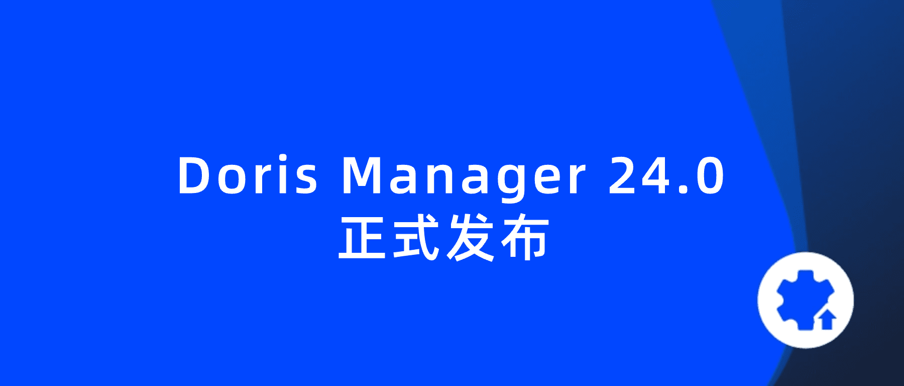 Doris Manager 24.0 版本正式发布！